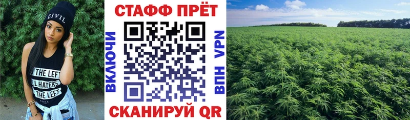 Магазин наркотиков Пучеж Альфа ПВП  МЕТАМФЕТАМИН  ГАШ  Конопля  COCAIN  МЕФ 
