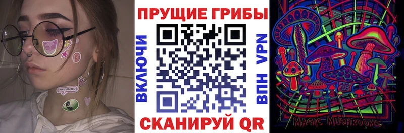 купить закладку  Пучеж  Псилоцибиновые грибы мухоморы 